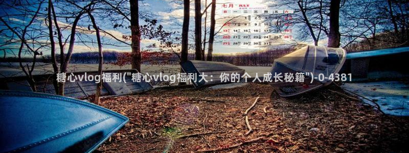 网站糖心：糖心vlog福利(\