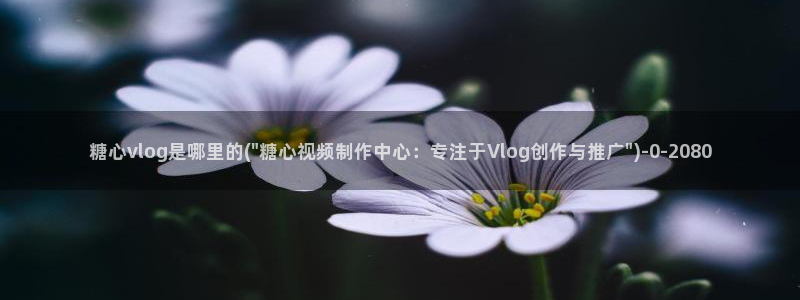 com.糖心：糖心vlog是哪里的(\