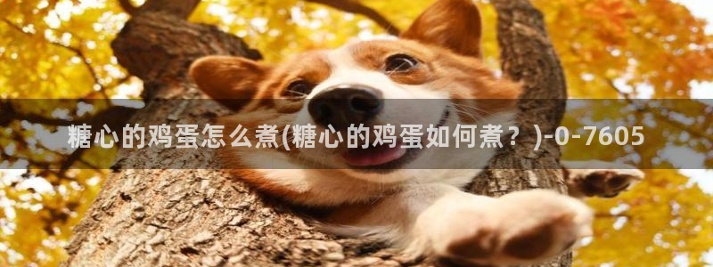 糖心多已：糖心的鸡蛋怎么煮(糖心的鸡蛋如何煮？)